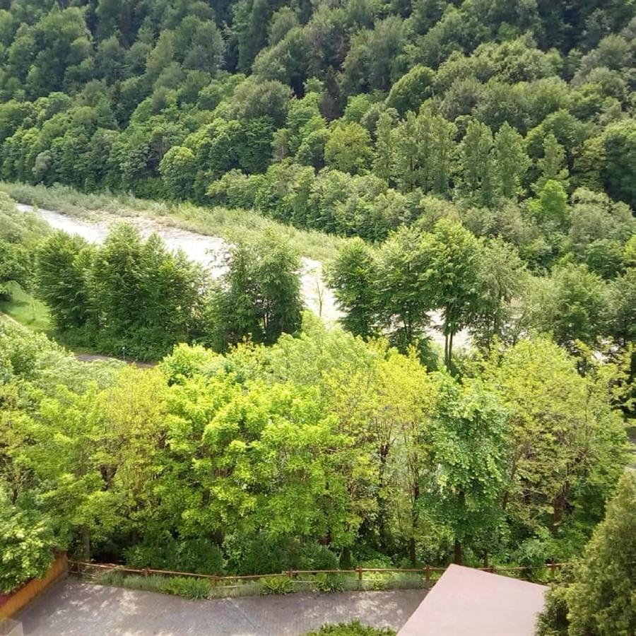 Malyvo Hotel Dilyatyn Zewnętrze zdjęcie